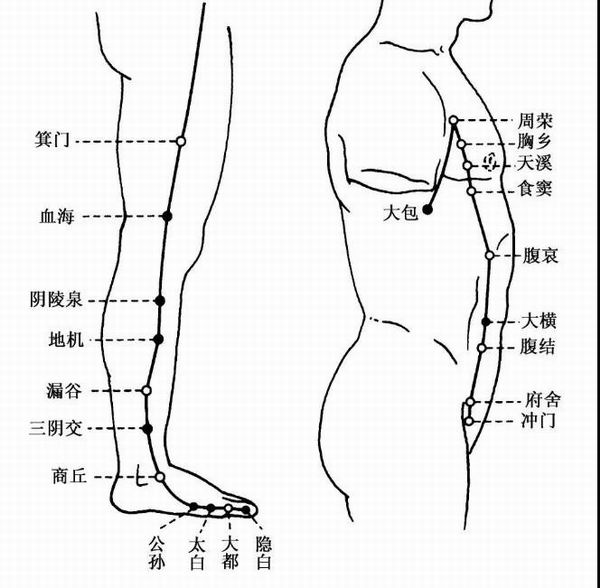足太阴脾经