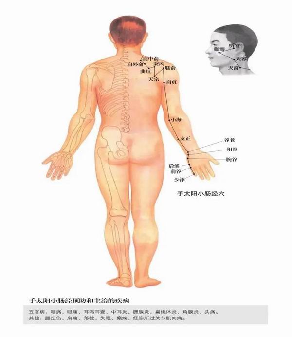 调整大小 2.jpg