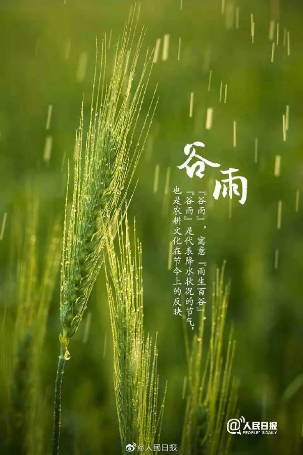 调整大小 2.jpg