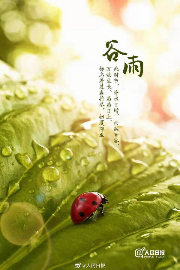 调整大小 3.jpg