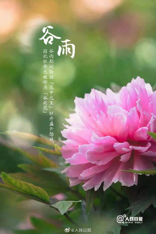 调整大小 4.jpg