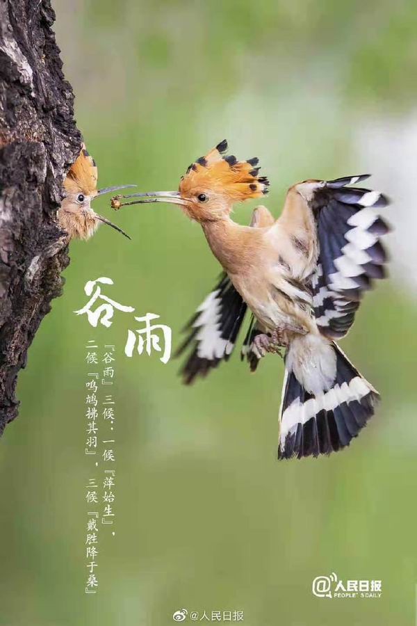 调整大小 6.jpg