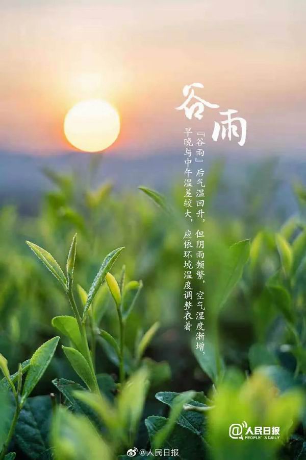 调整大小 7.jpg