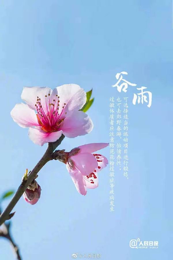 调整大小 9.jpg