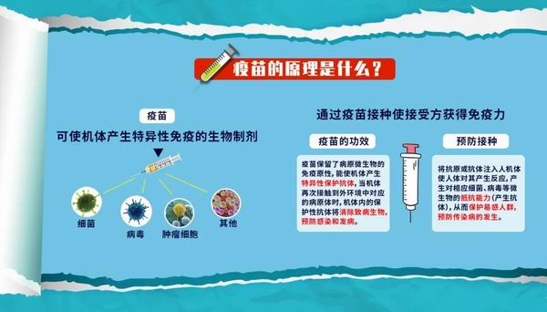 调整大小 6.jpg
